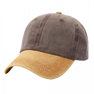 Color-Blocked Washed Cotton Dad Cap
